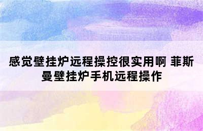 感觉壁挂炉远程操控很实用啊 菲斯曼壁挂炉手机远程操作